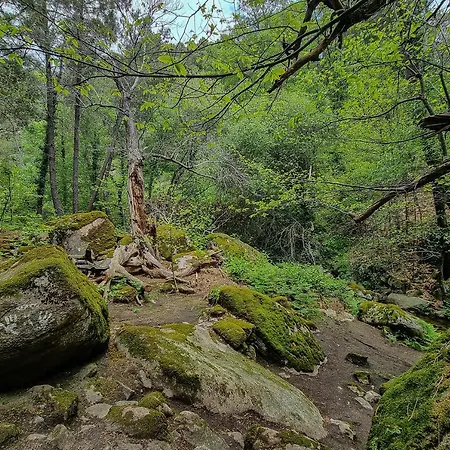 Eras Del Poeta * كاسياس