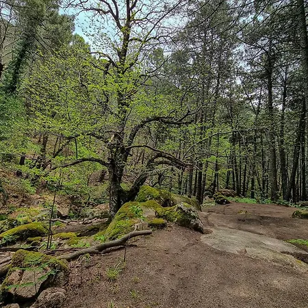 Eras Del Poeta 호텔 *